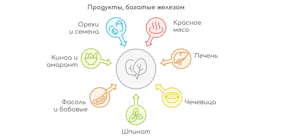 Продукты, богатые железом (инфографика)